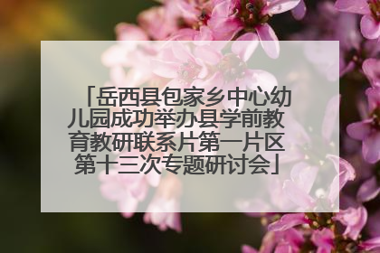 岳西县包家乡中心幼儿园成功举办县学前教育教研联系片第一片区第十三次专题研讨会