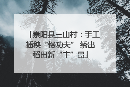 崇阳县三山村：手工插秧“慢功夫” 绣出稻田新“丰”景