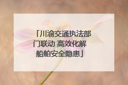 川渝交通执法部门联动 高效化解船舶安全隐患