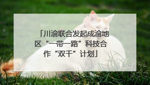 川渝联合发起成渝地区“一带一路”科技合作“双千”计划
