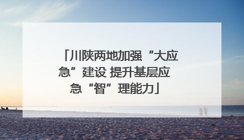 川陕两地加强“大应急”建设 提升基层应急“智”理能力