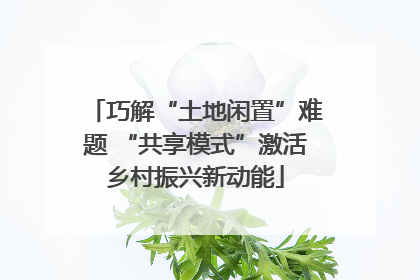 巧解“土地闲置”难题 “共享模式”激活乡村振兴新动能