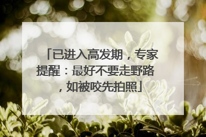 已进入高发期，专家提醒：最好不要走野路，如被咬先拍照