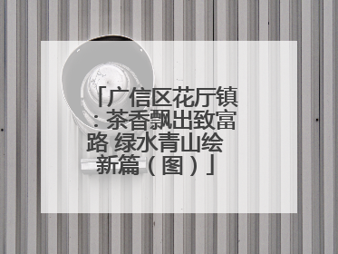 广信区花厅镇：茶香飘出致富路 绿水青山绘新篇（图）