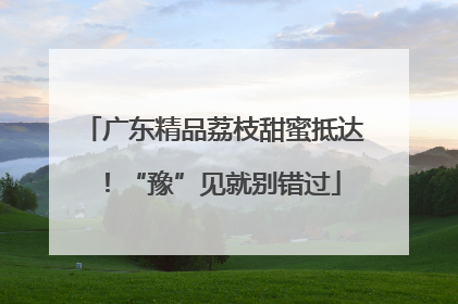 广东精品荔枝甜蜜抵达！“豫”见就别错过