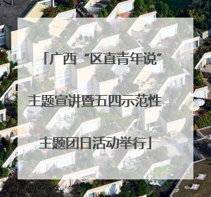 广西“区直青年说”主题宣讲暨五四示范性主题团日活动举行