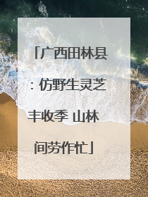 广西田林县：仿野生灵芝丰收季 山林间劳作忙