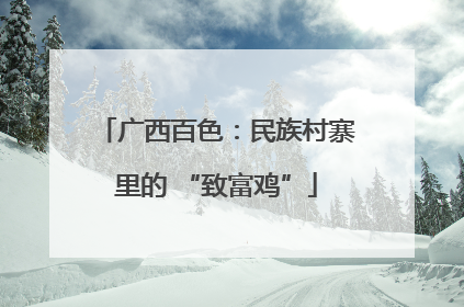广西百色：民族村寨里的 “致富鸡”