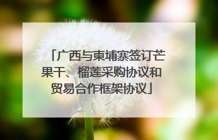 广西与柬埔寨签订芒果干、榴莲采购协议和贸易合作框架协议