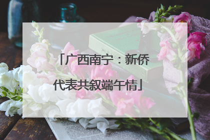 广西南宁：新侨代表共叙端午情