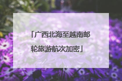 广西北海至越南邮轮旅游航次加密