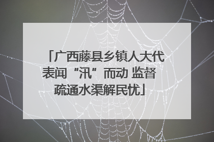 广西藤县乡镇人大代表闻“汛”而动 监督疏通水渠解民忧