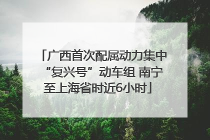 广西首次配属动力集中“复兴号”动车组 南宁至上海省时近6小时