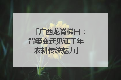 广西龙脊梯田：背篓变迁见证千年农耕传统魅力