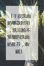 干皮洗面奶哪款好用，洗完脸不紧绷的洗面奶推荐，收藏