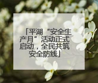 平湖“安全生产月”活动正式启动，全民共筑安全防线