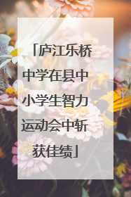 庐江乐桥中学在县中小学生智力运动会中斩获佳绩