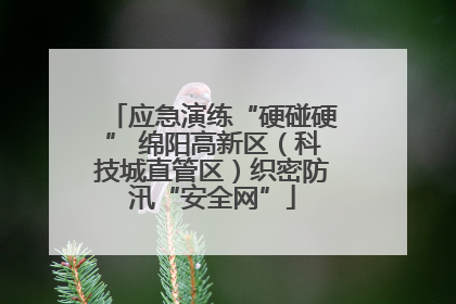 应急演练“硬碰硬” 绵阳高新区（科技城直管区）织密防汛“安全网”