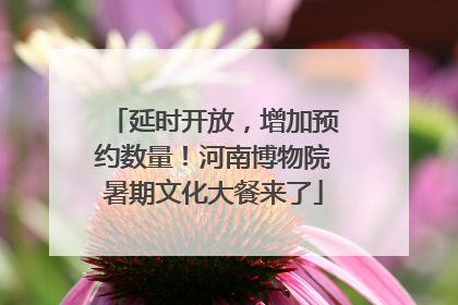 延时开放，增加预约数量！河南博物院暑期文化大餐来了