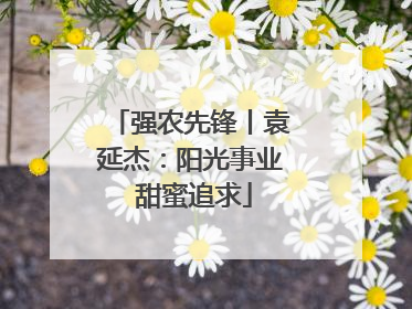 强农先锋丨袁延杰：阳光事业 甜蜜追求