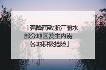 强降雨致浙江丽水部分地区发生内涝 各地积极抢险