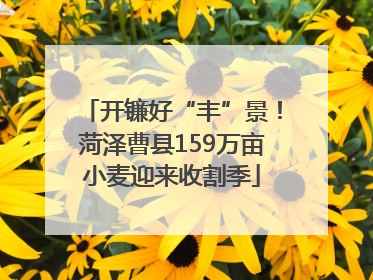 开镰好“丰”景！菏泽曹县159万亩小麦迎来收割季
