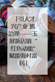引人才 兴产业 抓治理——玉屏新店镇“红色动能”赋能强村富民