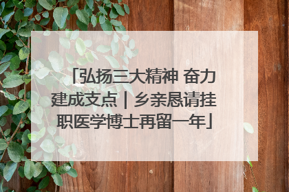 弘扬三大精神 奋力建成支点｜乡亲恳请挂职医学博士再留一年