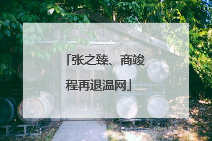 张之臻、商竣程再退温网