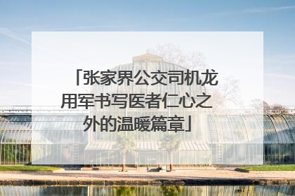 张家界公交司机龙用军书写医者仁心之外的温暖篇章
