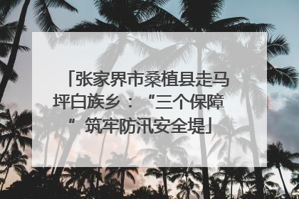 张家界市桑植县走马坪白族乡：“三个保障”筑牢防汛安全堤
