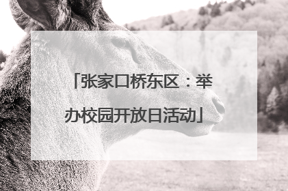 张家口桥东区：举办校园开放日活动