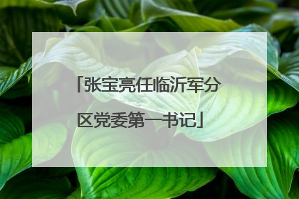张宝亮任临沂军分区党委第一书记