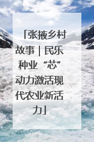 张掖乡村故事｜民乐种业“芯”动力激活现代农业新活力