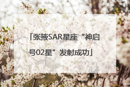 张掖SAR星座“神启号02星”发射成功