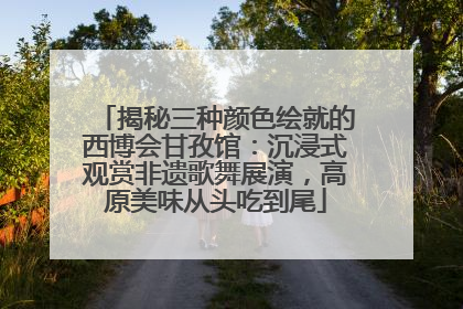 揭秘三种颜色绘就的西博会甘孜馆：沉浸式观赏非遗歌舞展演，高原美味从头吃到尾