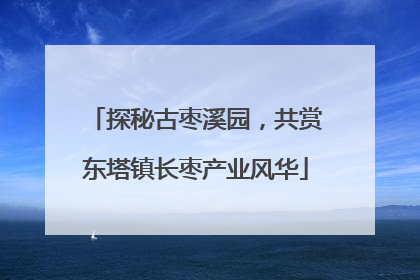 探秘古枣溪园，共赏东塔镇长枣产业风华