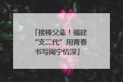 接棒父辈！福建“支二代”用青春书写闽宁情深