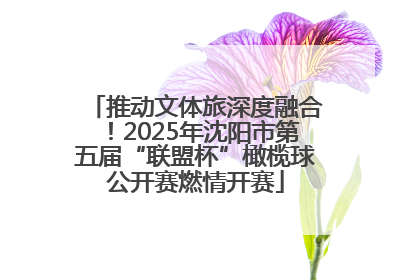 推动文体旅深度融合！2025年沈阳市第五届“联盟杯”橄榄球公开赛燃情开赛