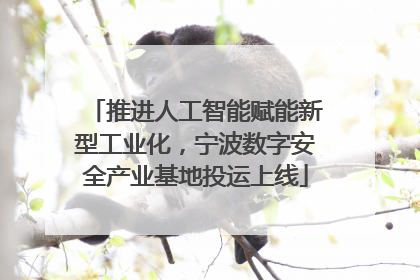 推进人工智能赋能新型工业化，宁波数字安全产业基地投运上线