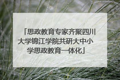 思政教育专家齐聚四川大学锦江学院共研大中小学思政教育一体化