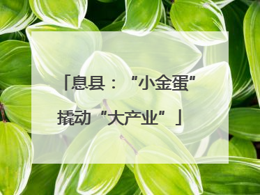 息县：“小金蛋”撬动“大产业”