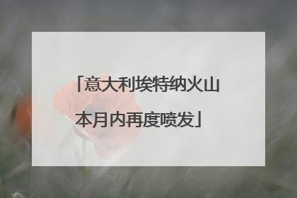 意大利埃特纳火山本月内再度喷发