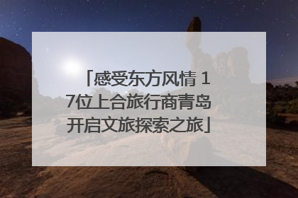 感受东方风情 17位上合旅行商青岛开启文旅探索之旅