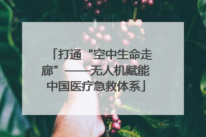 打通“空中生命走廊”——无人机赋能中国医疗急救体系