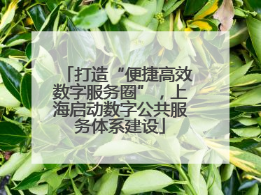 打造“便捷高效数字服务圈”，上海启动数字公共服务体系建设