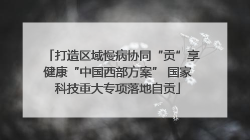打造区域慢病协同“贡”享健康“中国西部方案” 国家科技重大专项落地自贡
