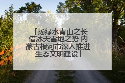 扬绿水青山之长 借冰天雪地之势 内蒙古根河市深入推进生态文明建设