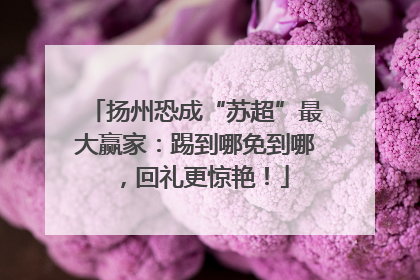 扬州恐成“苏超”最大赢家：踢到哪免到哪，回礼更惊艳！