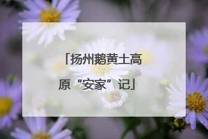 扬州鹅黄土高原“安家”记
